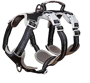 Spooky Dog Harness