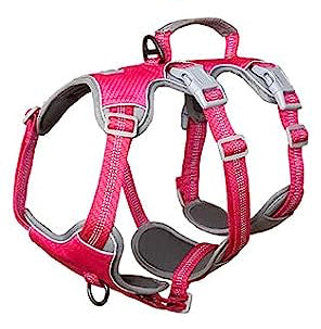 Spooky Dog Harness