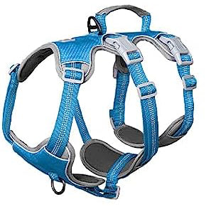 Spooky Dog Harness