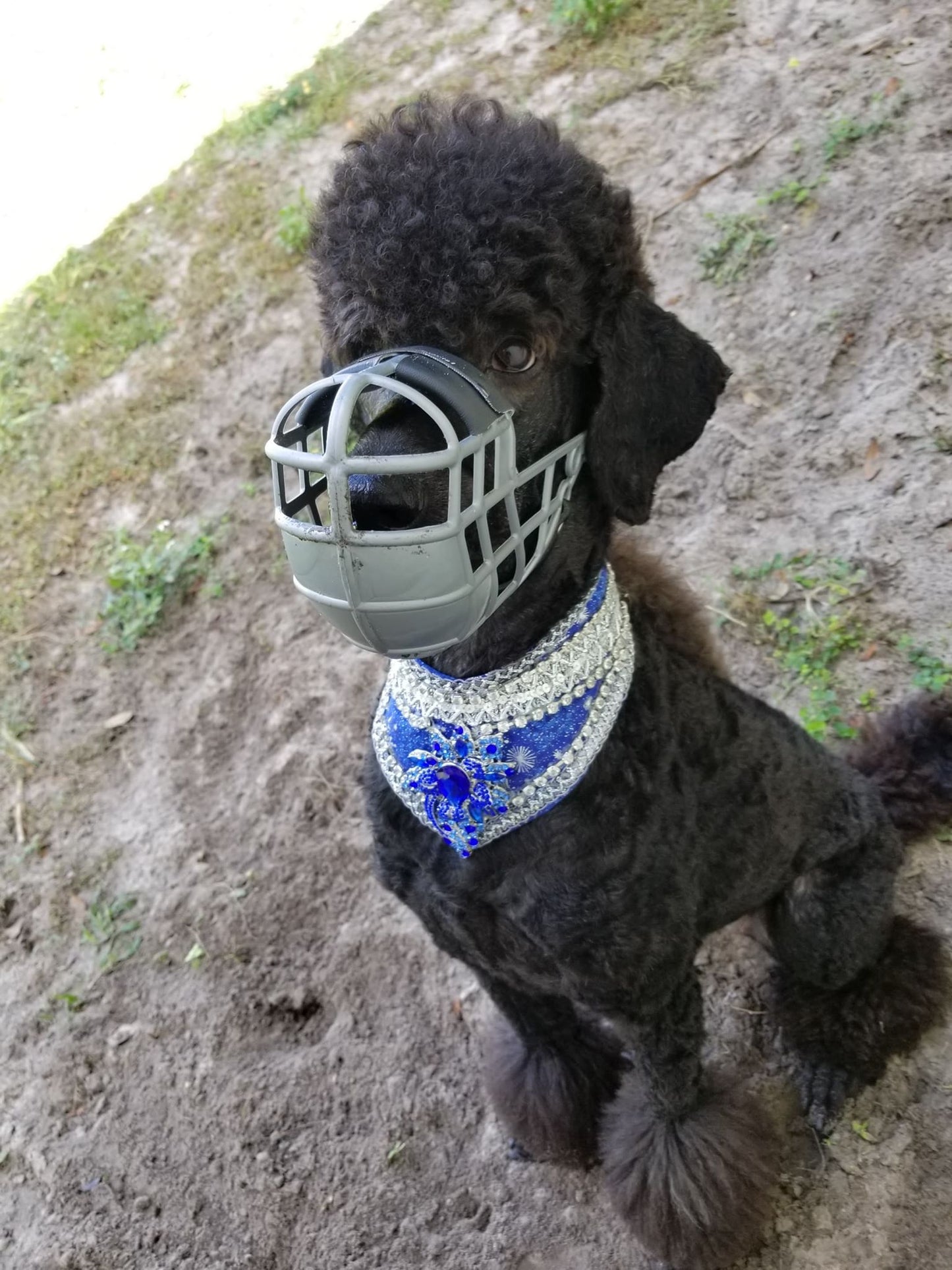 Double-Padded Greyhound Basket Muzzle