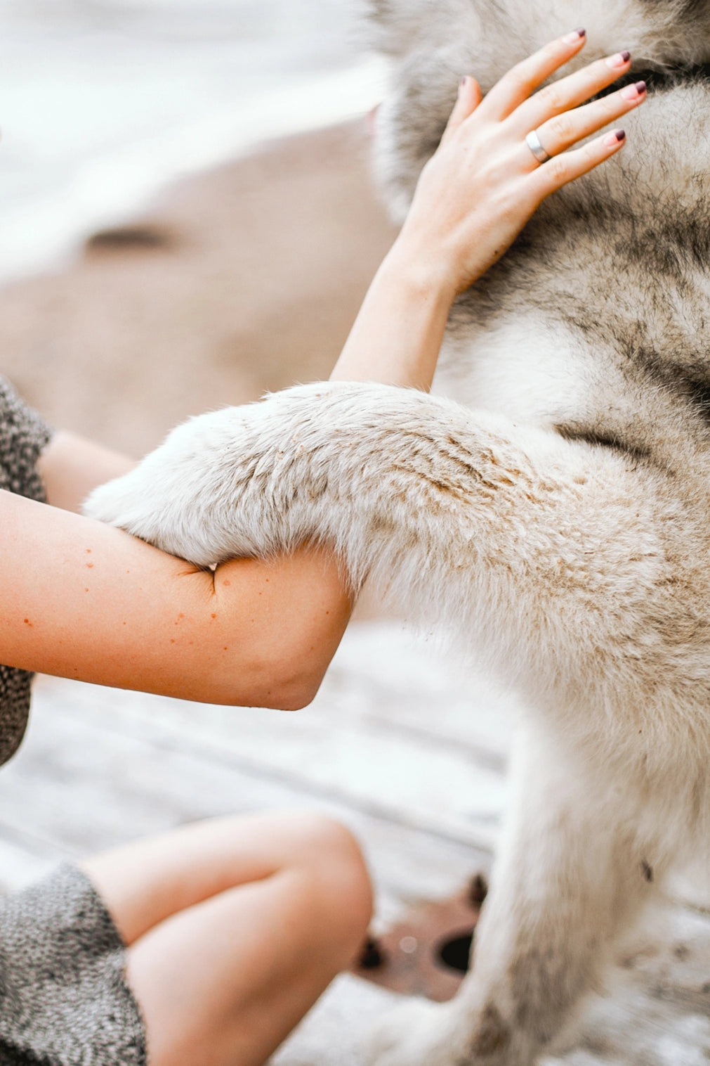 Lady showing affection to dog