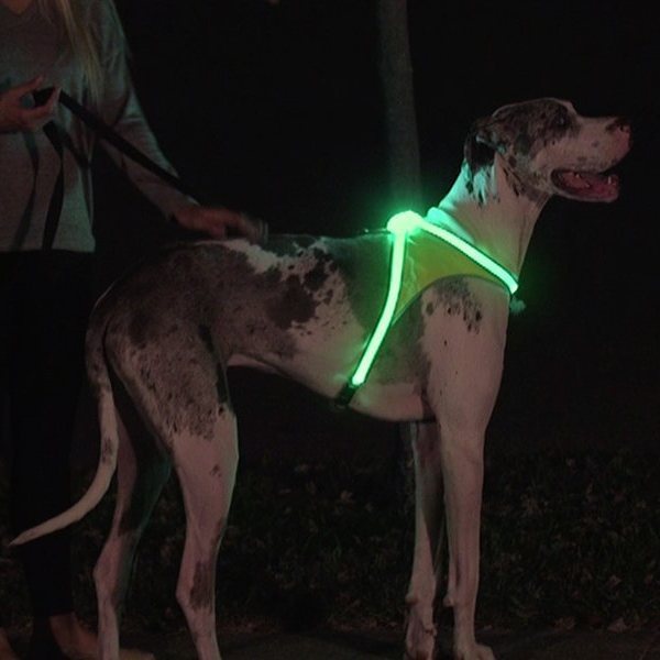 Lighted Dog Harness