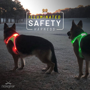 LightHound Rechargeable Lighted Harness