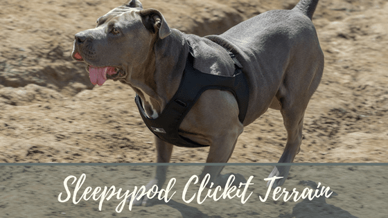 Sleepypod Clickit Terrain dog harness for the car