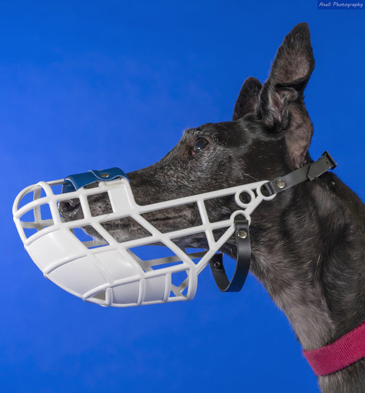 Double-Padded Greyhound Basket Muzzle