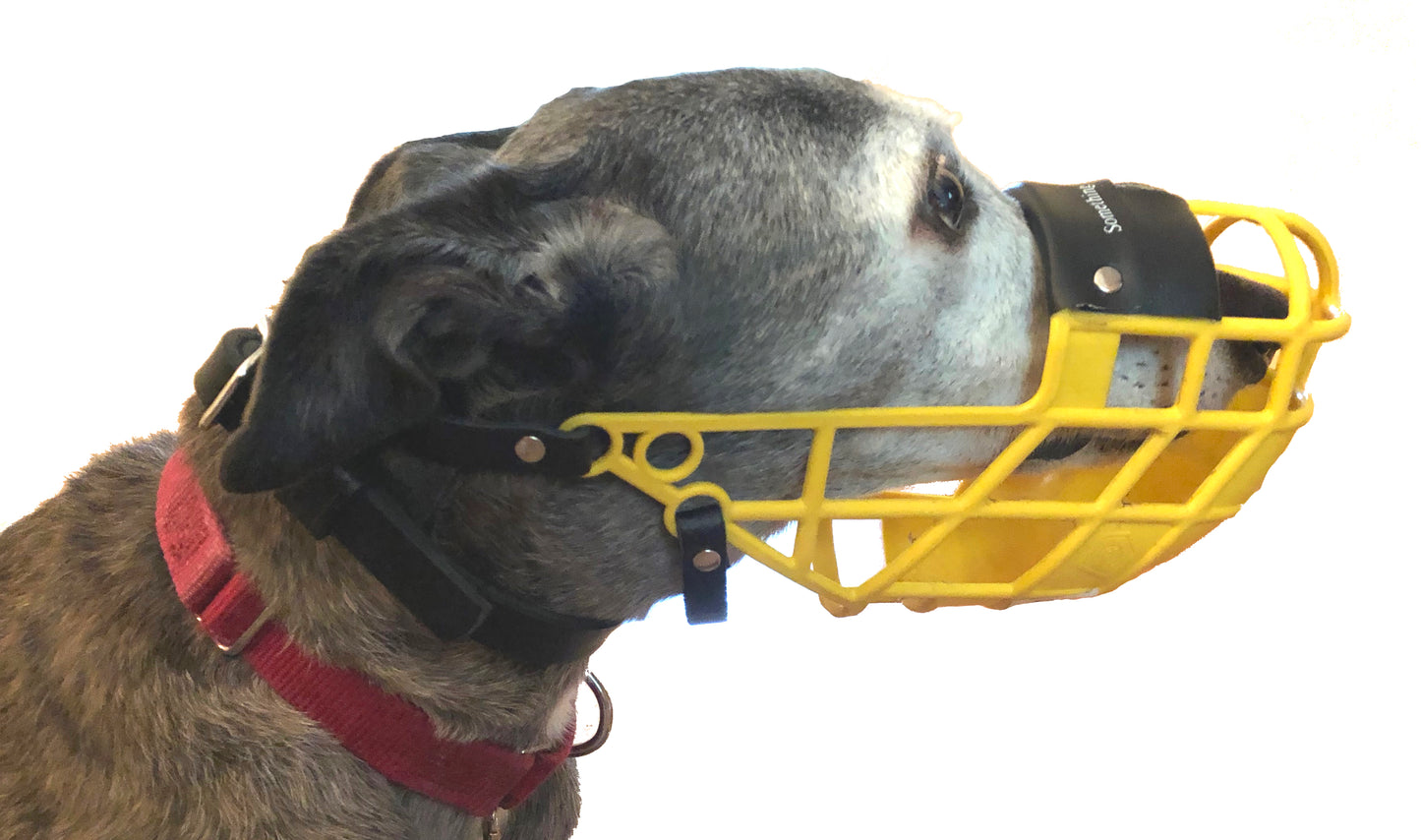 Dog Muzzle Keeper