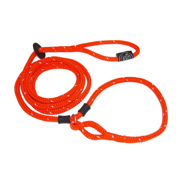 Harnesslead Dog Leash and Harness