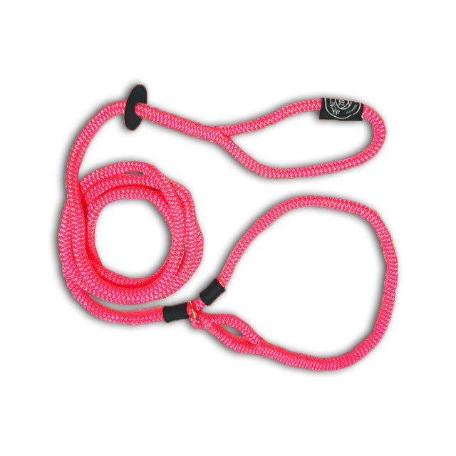 Harnesslead Dog Leash and Harness