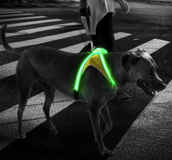 Lighted Dog Harness