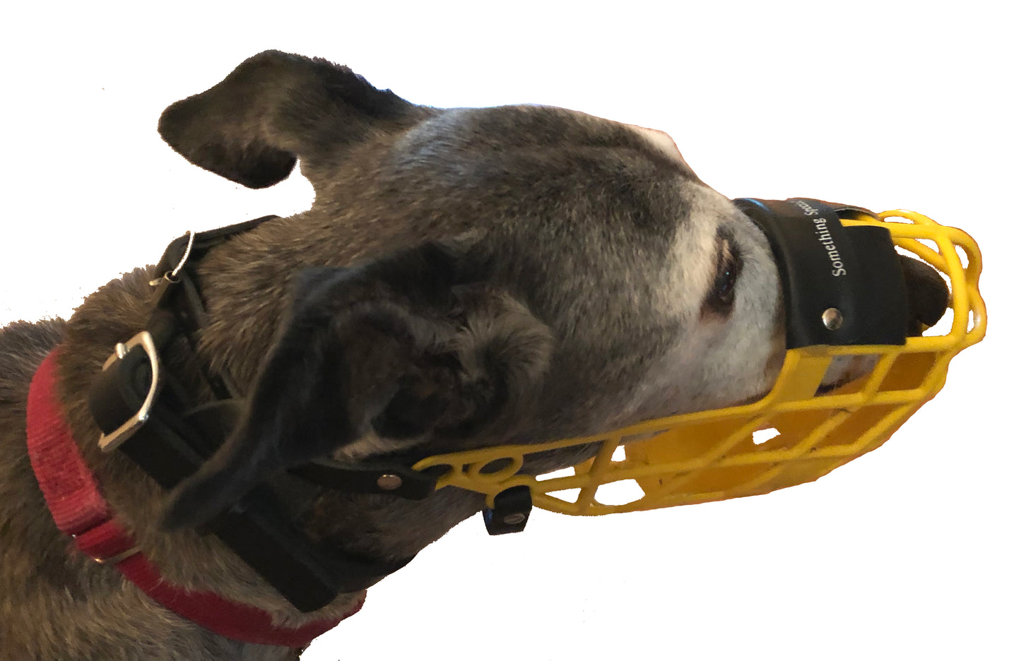 Dog Muzzle Keeper