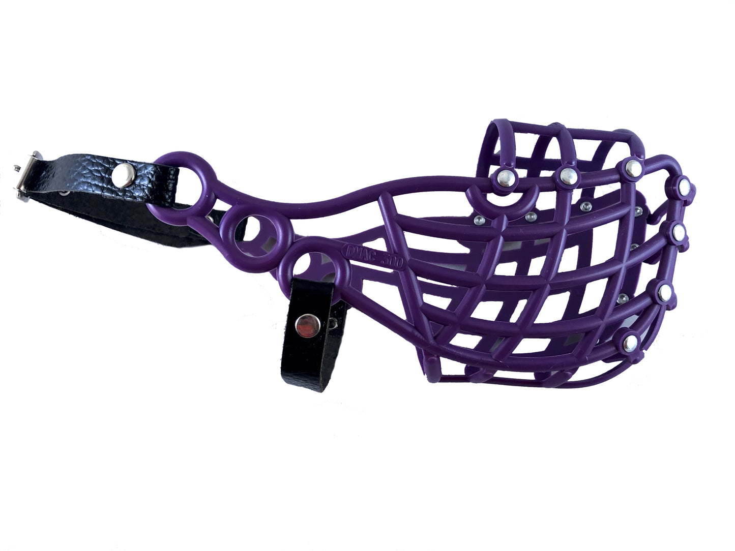 Whippet Muzzle (Irish style)